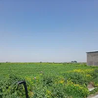 زمین کشاورزی دارای سند تک برگ (با مجوز گلخانه)|فروش زمین و ملک کلنگی|سنگدوین, |دیوار