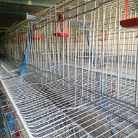 قفس مرغ تخمگذار منبری