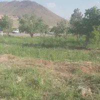 باغ میوه زیر قیمت با اقساط وزمین رایگان|فروش زمین و ملک کلنگی|خمین, |دیوار