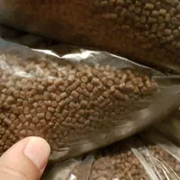 قوطی خوراک ماهی گوشتخوار و گیاه خوار کوی قرمز گوپی|ماهی|تهران, تجریش|دیوار