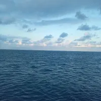 منشی