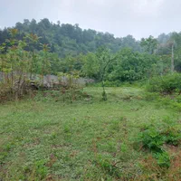 فروش زمین مسکونی سند دار در لیسار|فروش زمین و ملک کلنگی|تالش, هشتپر|دیوار