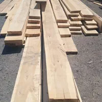 بنایی تختهpخرچیjتخته داربست تخته نما گچ کار نردبان|مصالح و تجهیزات ساختمان|تبریز, |دیوار