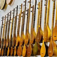 انواع سه تار از مبتدی تا حرفه‌ای