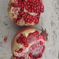 نهال انگور و انار|گل و گیاه طبیعی|اصفهان, ارداجی|دیوار