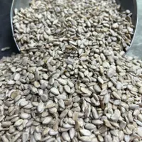 مغز تخمه آفتابگردان شمشیری و روغنی سالم و شکسته|خوردنی و آشامیدنی|تهران, منصوریه (پل سیمان)|دیوار