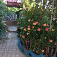 ویلا استخر سرپوشیده با موتور خانه تصویه اب|اجارهٔ کوتاه‌مدت ویلا و باغ|اصفهان, بهارستان|دیوار