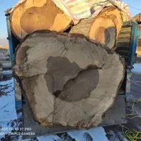 خرید و فروش انواع چوب و درخت تر و خشک