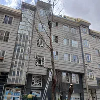 چوب بری هرس درخت|خدمات باغبانی و درختکاری|کرج, ساسانی (قلمستان)|دیوار