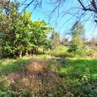 ۳۷۰۰ متر مسکونی با انشعابات قابل تفکیک/۸دقیقه دریا|فروش زمین و ملک کلنگی|لشت نشا, |دیوار