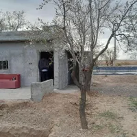 ۱۵۰۰ متر باغ بادام (زمین) منطقه زرندیه ساوه|فروش دفتر صنعتی، کشاورزی، تجاری|تهران, امیر بهادر|دیوار
