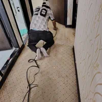 مبل شویی ، صندلی ماشین وموکت چسبیده و تشک خوشخواب|خدمات نظافت|کرمان, |دیوار