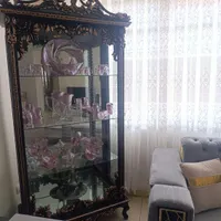 ویترین شیک
