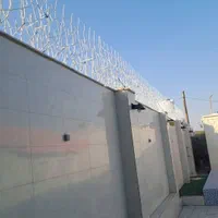شاخ گوزنی و بوته ایی|مصالح و تجهیزات ساختمان|بندرعباس, |دیوار