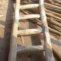 نردبان چوبی دسته بیل جارو تیشه پتک کلنگ میخ چوبی|ابزارآلات|مشهد, امیریه|دیوار