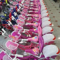 دوچرخه 12 16 ، 20 صورتی دختروونه امین دوچرخ