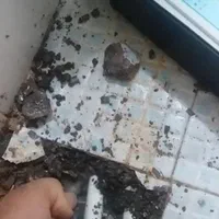 تَع میرات فوق تخصصی نماهافرسوده ایزوله رفعنم عایق|خدمات پیشه و مهارت|بجنورد, |دیوار