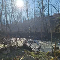 اجاره ویلا لب رودخانه جاده امامزاده ابراهیم|اجارهٔ کوتاه‌مدت ویلا و باغ|شفت, |دیوار