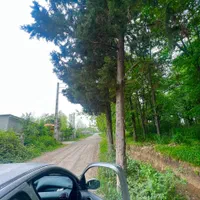 زمین سند تک برگ سرمایه گذاری ساخت کنار جنگل دریاچه