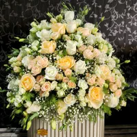 نیرو همکار و فروشنده خانم|استخدام بازاریابی و فروش|کرمان, |دیوار