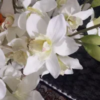 گل گلدان|گل مصنوعی|تهران, بهارستان|دیوار