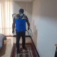 سم پاشی.ساس.موریانه. موچه.سوسک ریزو بزرگ|خدمات نظافت|شیراز, باغ تخت|دیوار