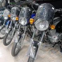 رهرو باکسر ۱۴۰۴ (۱۸ ماهه)