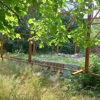 زمین ۷۵۰ متری مسکونی با کنتور کامل جاده تهران رشت|فروش زمین و ملک کلنگی|رشت, لاکان|دیوار