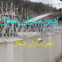 حفاظ شاخ گوزنی|خدمات پیشه و مهارت|رشت, جانبازان|دیوار