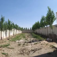 ۵۰۰مترداخل بافت سهیلیه زعفرانیه|فروش زمین و ملک کلنگی|کرج, کوی امامیه|دیوار