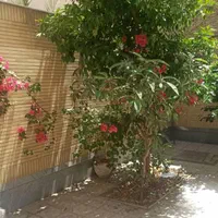 ویلایی ۳طبقه ، ۵خواب ، درب ساخت ، میرزا نصیر|فروش خانه و ویلا|اصفهان, پروین|دیوار
