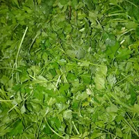 سفارش سبزی به صورت کلی، ویژه رستوران و سوپرمارکت|خوردنی و آشامیدنی|سبزوار, مدرس|دیوار