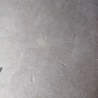 پالاز موکت