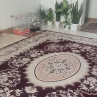 اجاره آپارتمان ۸۳ متری ۲ خوابه طبقه ۲ در گرگاب|اجارهٔ آپارتمان|شاهین‌شهر, گرگاب|دیوار