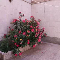 واحد مبله / امن /نزدیک به نمایشگاه بین المللی|اجارهٔ کوتاه‌مدت آپارتمان و سوئیت|اصفهان, پارک مشتاق|دیوار