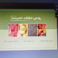 طراحی تمامی خدمات گرافیکی با قیمت استثنایی|خدمات رایانه‌ای و موبایل|تهران, صادقیه|دیوار