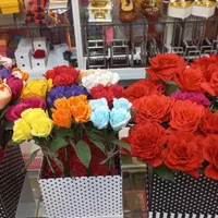گل های کاغذ کشی|گل مصنوعی|تنکابن, |دیوار