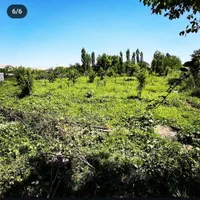 باغ 700 متری سنددار در روستای ییلاقی اندرخ/معاوضه|فروش زمین و ملک کلنگی|مشهد, نوید (بلوار کشاورز)|دیوار