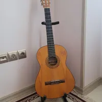 گیتار فرناندو F2