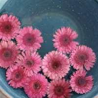 مرکز تخصصی اپیلاسیون لوسی
