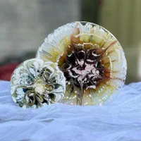 آموزش تخصصی رزین