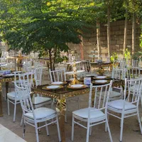 تشریفات مجالس اجاره باغ،باند میز صندلی دیزاین|خدمات پذیرایی، مراسم|صدرا-فارس, |دیوار