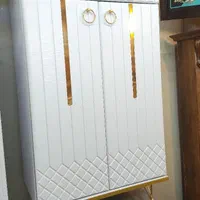 جاکفشی دو درب کشو دار خطی