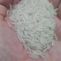 برنج دمسیاه آستانه اشرفیه به شرط|خوردنی و آشامیدنی|تهران, تهرانپارس شرقی|دیوار