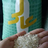 برنج پاکستانی|خوردنی و آشامیدنی|مشهد, دانشجو|دیوار