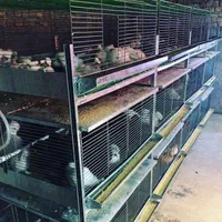 قفس مرغ / قفس بلدرچین / قفس جوجه *صادراتی*|لوازم جانبی حیوانات|خورموج, |دیوار