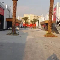 چوب تنه نخل خرما از تنه یک متری تا ۸متری درخت|گل و گیاه طبیعی|کارون, |دیوار