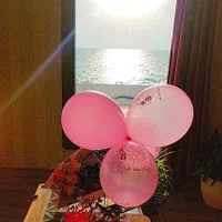 اپارتمان مبله رو به دریا|اجارهٔ کوتاه‌مدت آپارتمان و سوئیت|بوشهر, |دیوار