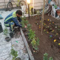 کلیه کارهای سم پاشی،باغبانی،گل کاری وهرس ،تیلرزنی|خدمات باغبانی و درختکاری|مشهد, صیاد شیرازی|دیوار