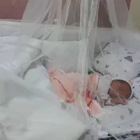 تخت کنار مادر تمام ام دی اف کاملا نو|تخت و صندلی بچه|تهران, طرشت|دیوار